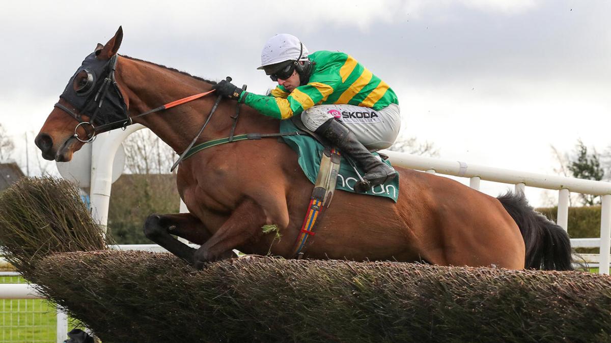 Jumps horse Any Second Now